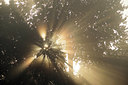 BUITEN BEELD Foto: 285072