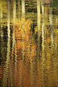BUITEN BEELD Foto: 285073