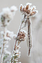 BUITEN BEELD Foto: 285084