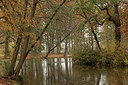 BUITEN BEELD Foto: 285086
