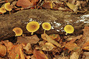 BUITEN BEELD Foto: 285128