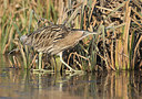 BUITEN BEELD Foto: 285130