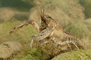 BUITEN BEELD Foto: 285144