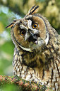 BUITEN BEELD Foto: 285195