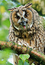 BUITEN BEELD Foto: 285196