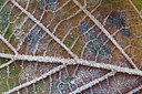 BUITEN BEELD Foto: 285225