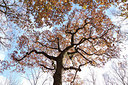 BUITEN BEELD Foto: 285227