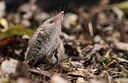 BUITEN BEELD Foto: 285233
