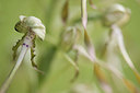 BUITEN BEELD Foto: 285237