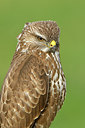 BUITEN BEELD Foto: 285283