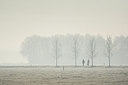 BUITEN BEELD Foto: 285286