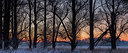 BUITEN BEELD Foto: 285289