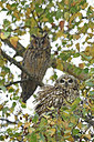 BUITEN BEELD Foto: 285300