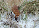 BUITEN BEELD Foto: 285310