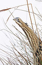 BUITEN BEELD Foto: 285359