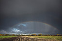 BUITEN BEELD Foto: 285399