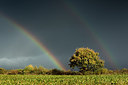 BUITEN BEELD Foto: 285400