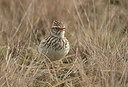 BUITEN BEELD Foto: 285402