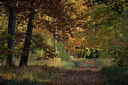 BUITEN BEELD Foto: 285406