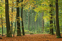 BUITEN BEELD Foto: 285419