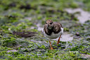 BUITEN BEELD Foto: 285428