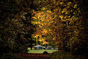 BUITEN BEELD Foto: 285430