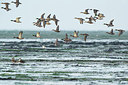 BUITEN BEELD Foto: 285431