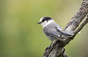 BUITEN BEELD Foto: 285451