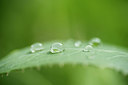 BUITEN BEELD Foto: 285456