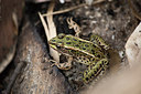 BUITEN BEELD Foto: 285459