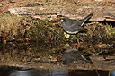 BUITEN BEELD Foto: 285473