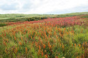 BUITEN BEELD Foto: 285480