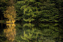 BUITEN BEELD Foto: 285500