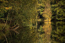 BUITEN BEELD Foto: 285501