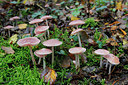 BUITEN BEELD Foto: 285504