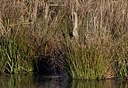BUITEN BEELD Foto: 285506