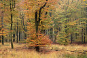 BUITEN BEELD Foto: 285515