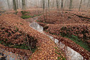 BUITEN BEELD Foto: 285534