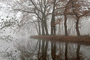 BUITEN BEELD Foto: 285543