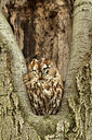BUITEN BEELD Foto: 285548