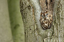 BUITEN BEELD Foto: 285550