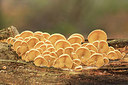 BUITEN BEELD Foto: 285554