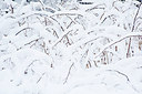 BUITEN BEELD Foto: 285583