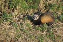 BUITEN BEELD Foto: 285593