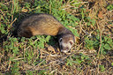 BUITEN BEELD Foto: 285595