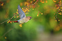 BUITEN BEELD Foto: 285606