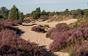 BUITEN BEELD Foto: 285670