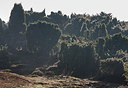 BUITEN BEELD Foto: 285672