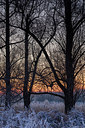 BUITEN BEELD Foto: 285689