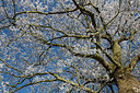 BUITEN BEELD Foto: 285692